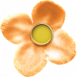 SerendipiTea Orange Flower