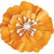 SerendipiTea Orange Flower 2