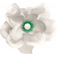 SerendipiTea White Flower