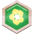 Berry Sweet Bee Green Hexagon Brad with Flower on it