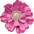 Berry Sweet Bee Pink Flower
