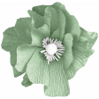 Teal creppe flower