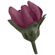 secret garden_flower2