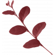 My Life Palette - Leafy Branch (Burgundy)