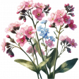 Forget-me-nots 1