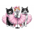 Kitten Singers 2