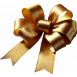 New Year Bow 2