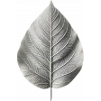 On A Winter's Day Silver Leaf 3