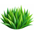 Boy Noise Grass 1
