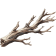 Beach Daze Driftwood 2
