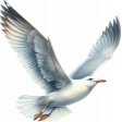 Beach Daze Seagull 1