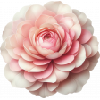 Beach Daze Pink Flower 2