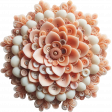 On The Button Flower 21