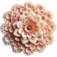 On The Button Flower 25