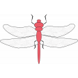 Feb 2023 Design Challenge Letter_Dragon Fly_Pink