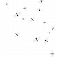 Feb 2023 Design Challenge Letter_Dragon Fly_Scatter