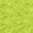 Clay Time _ Plasticine Paper_Lime Green