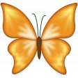 Butterfly 1
