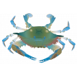 Blue Sea Crab Element