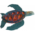 Sea Turtle