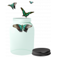 Circle of Life Butterfly Jar 