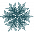 Vintage Winter Snowflake 2 Element