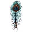 Peacock Feather Element