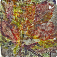 Fallcolor Paper