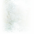 mudsa-magic winter-pap 11