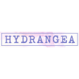Hydrangea_label