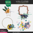 Nova: Clusters