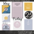 Calendar Pocket Cards Plus