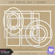 Our Special Day - Frames