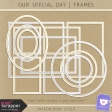 Our Special Day - Frames