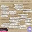 Season of Gratitude - Snippets & Stamps