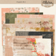 Shabby Vintage #1 Papers Kit