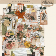 Shabby Vintage #1 Stacks Kit