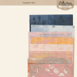 Shabby Vintage #6 Papers Kit