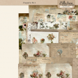 Shabby Vintage #8 Papers Kit