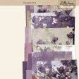 Shabby Vintage #9 Papers Kit