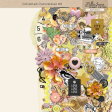 Collected Curiosities #8 Ephemera Kit