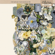 Collected Curiosities #9 Ephemera Kit