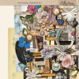 Curiosity Cabinet #1 Mini Kit