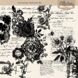 Curiosity Cabinet Stamps #2 Kit