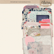 Collected Curiosities #14 Worn Scraps Kit