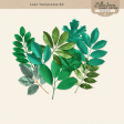 Leaf Templates #2 Kit