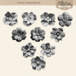 Flower Templates #3 Kit