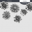 Flower Templates Kit #2