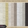 Our Special Day Glitter Kit