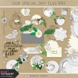 Our Special Day Clusters Kit